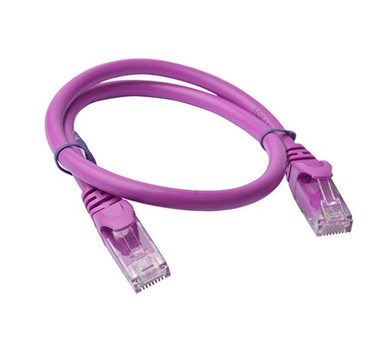 8ware Print media CAT6 Cable 0.25m - Purple Premium RJ45 Ethernet Network LAN UTP Patch Cord 26AWG CU Jacket 8W-PL6-0.25PUR