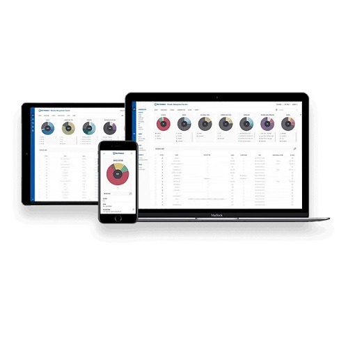 Teltonika RMS MANAGEMENT PACK 12 MONTHS RMSMP0100000